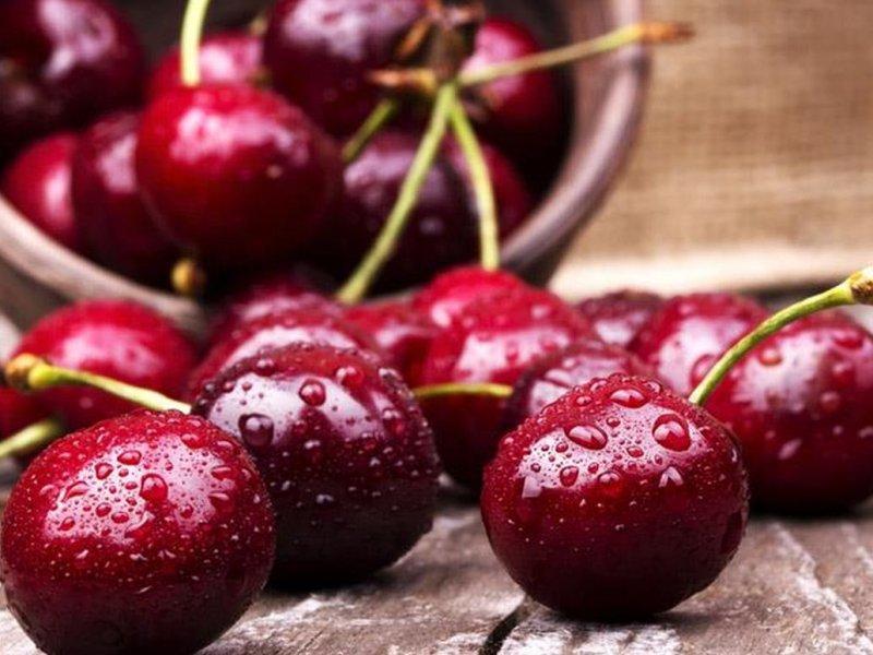 Вишня купить саженцы из питомника в Железнодорожном